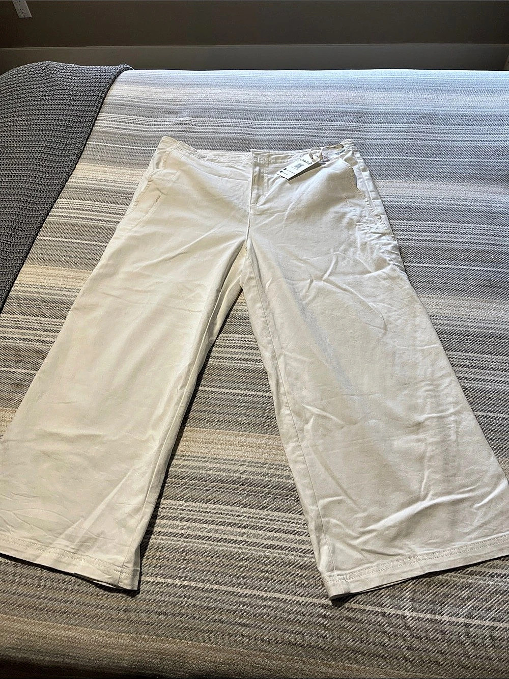 Charlie B Wide Leg Pants in White Size 18 NWT BOGO